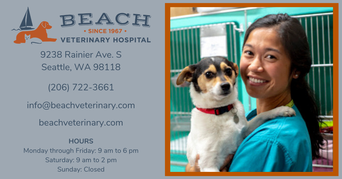 Pet Shots Affordable Animal Clinic Jacksonville Beach Fl - Jacksonville ...